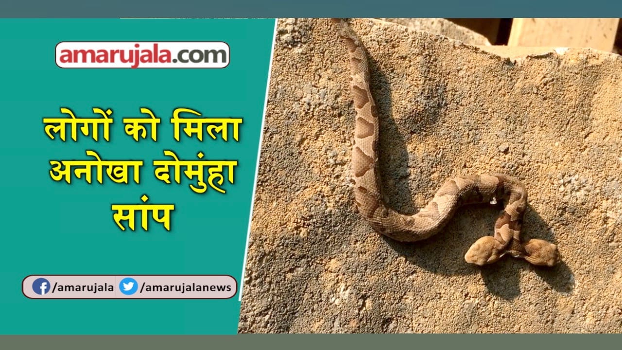 प्रतीकात्मक तस्वीर