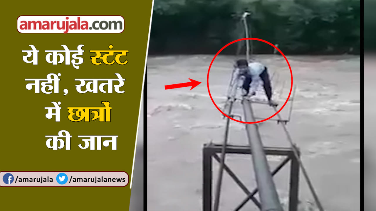 वायरल वीडियो