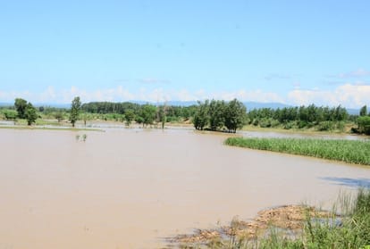 Rain caused heavy damage to crops estmaied at 350 crore rupees in Himachal Pradesh