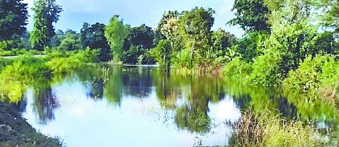 ambedkar village way turned to pond
