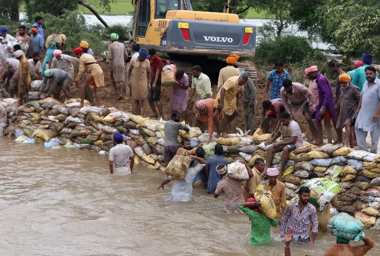 heavy loss of farmers due to heavy rain in Punjab
