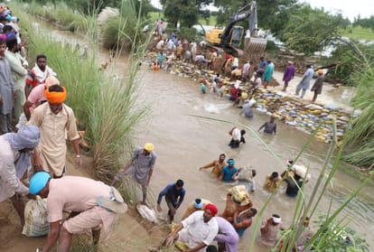 heavy loss of farmers due to heavy rain in Punjab