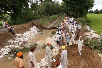 heavy loss of farmers due to heavy rain in Punjab