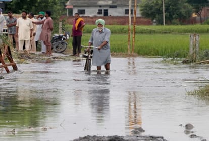 heavy loss of farmers due to heavy rain in Punjab