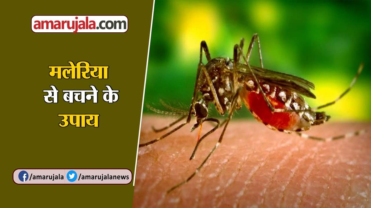 MALARIA