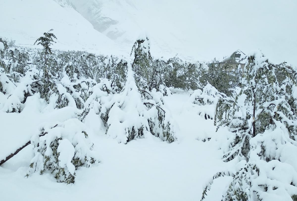 500 people still stuck in lahaul including children and women