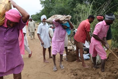 heavy loss of farmers due to heavy rain in Punjab