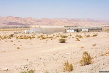 Farming in desert with the help of seawater