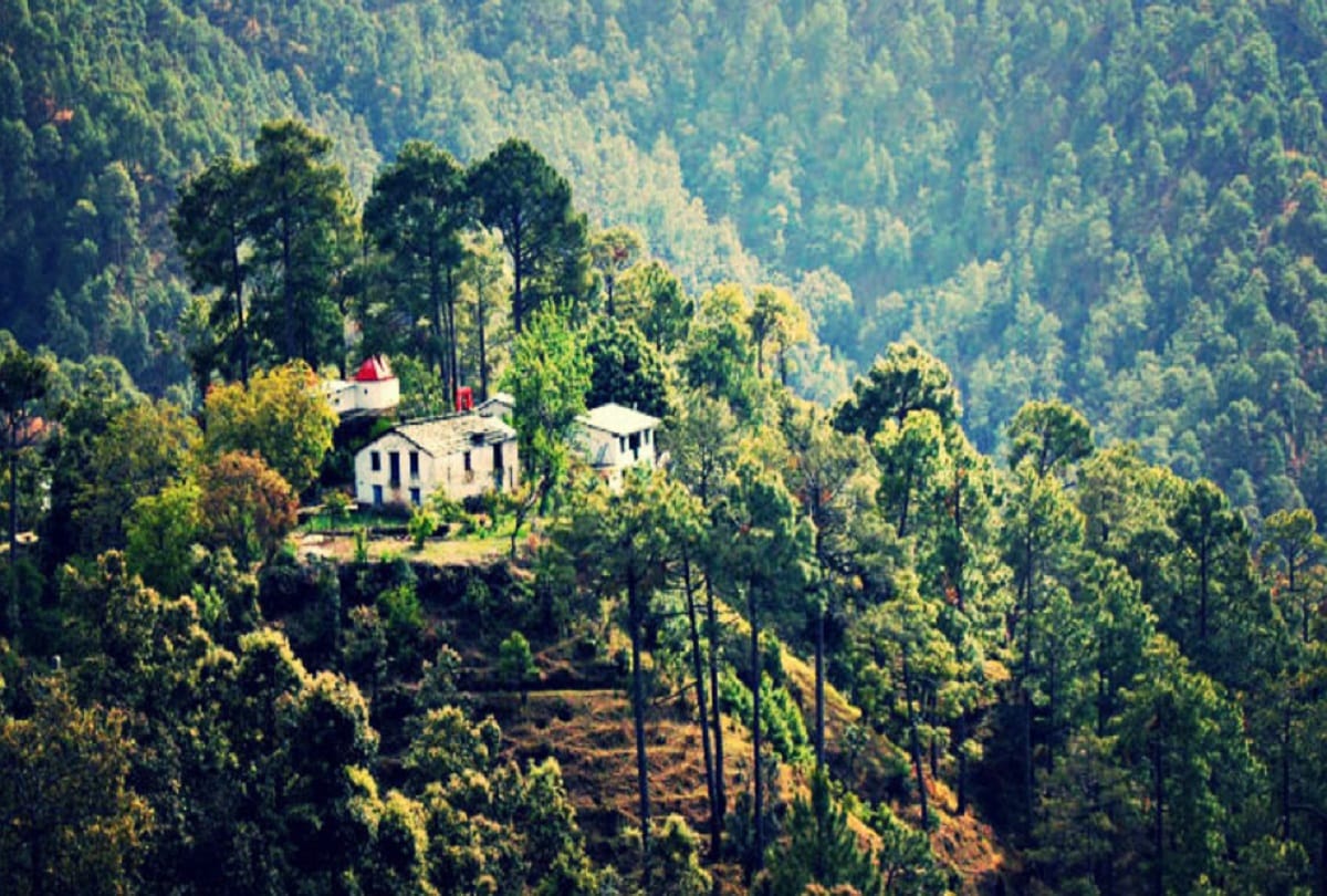 Uttarakhand News: Union Ministry of Forest Environment and Climate Declared Binsar eco-sensitive zone