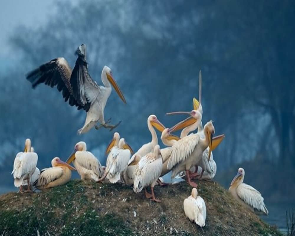 Top 5 Best Places to Visit Near Delhi NCR Know More Tourist Places in Hindi