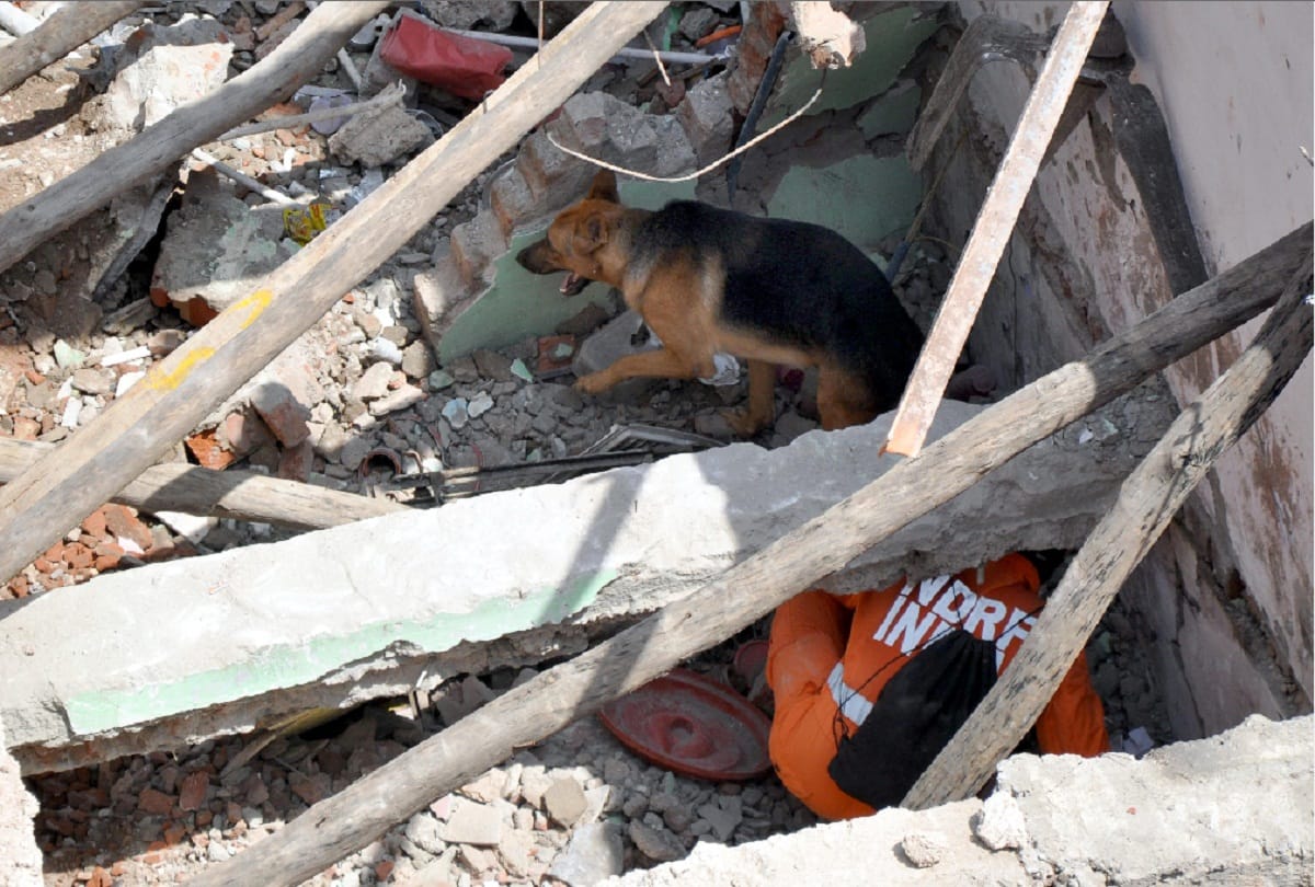 Five storey building collapsed in delhi, Panic in families living in C-26 building