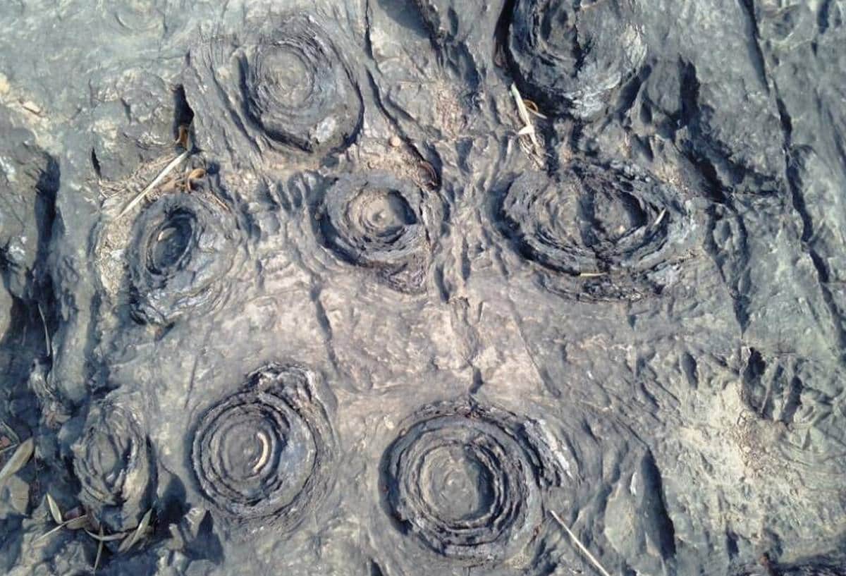 Sonebhadra Salkhan Fossils Park is one of the oldest fossils park of the world
