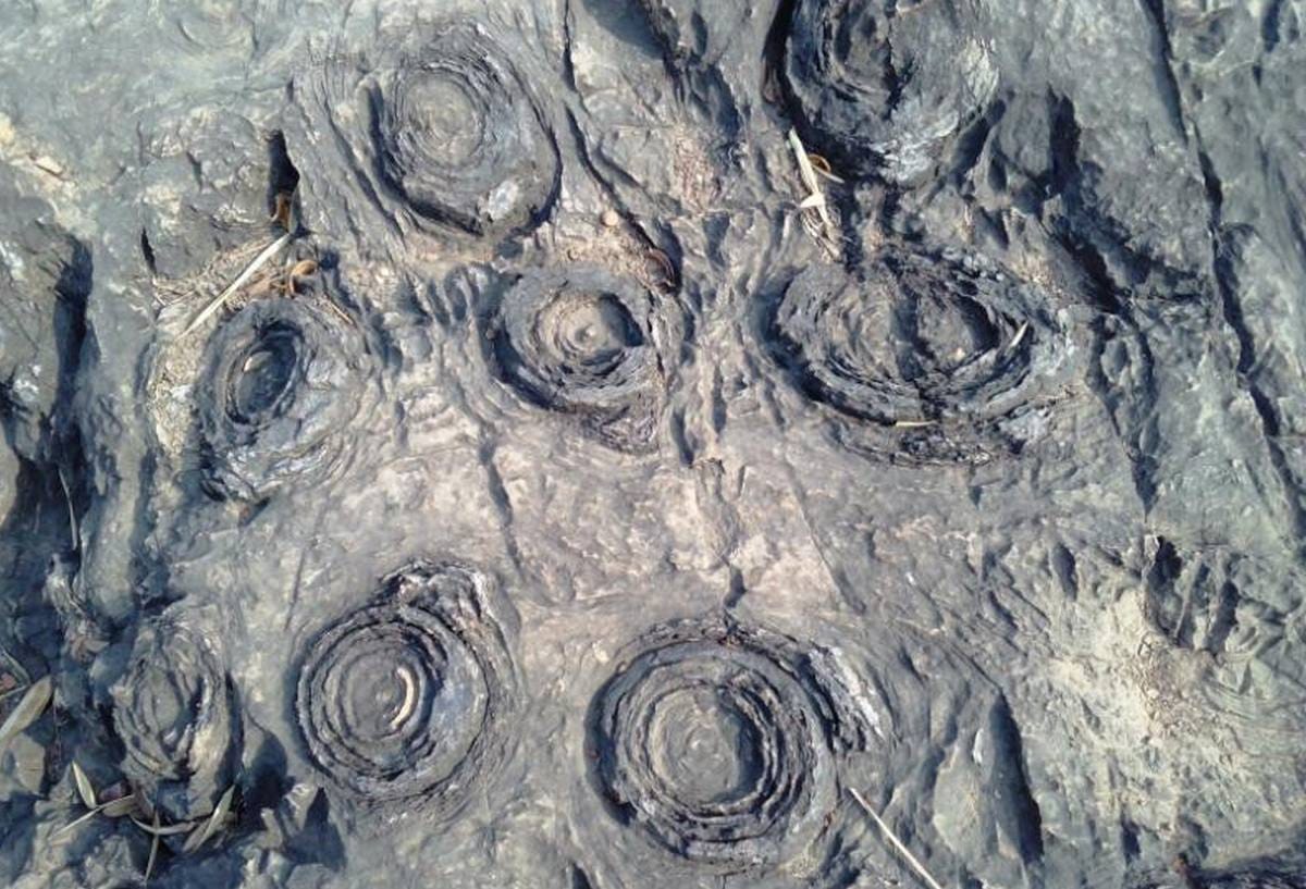Sonebhadra Salkhan Fossils Park is one of the oldest fossils park of the world