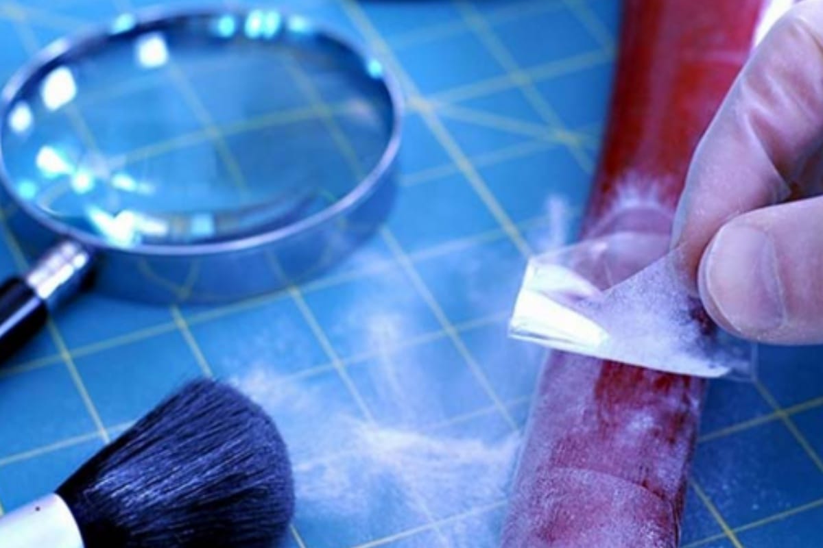 forensic investigation making a major role in opening in crime cases