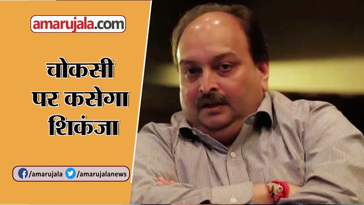 Fugitive diamond trader Mehul Choksi wanted in India in which case, know about  pnb scam