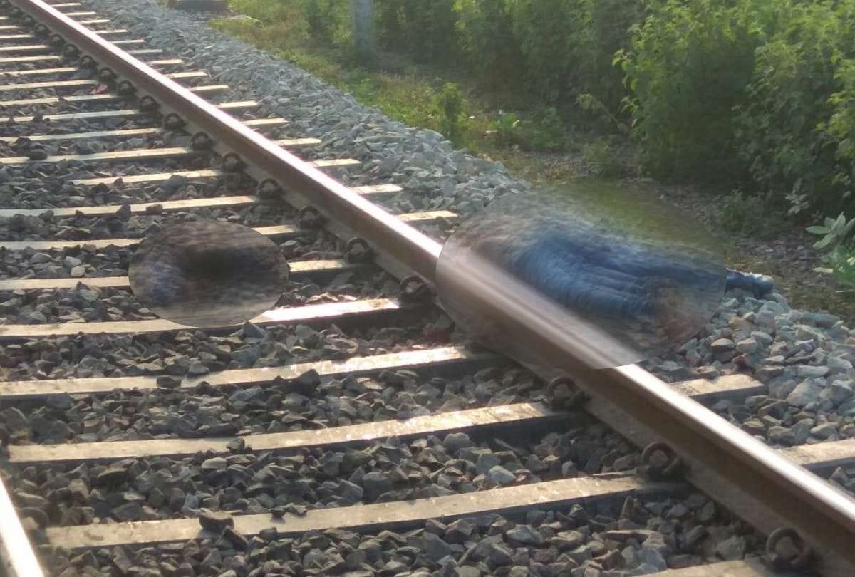 three dead bodies found on railway track in raebareli