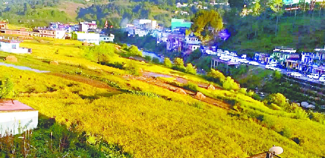 52 केंद्रों पर एक नवंबर से होगी धान की खरीद