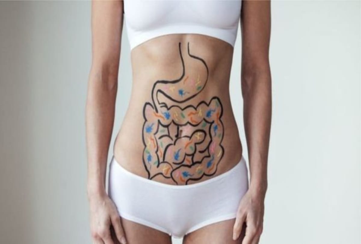 There is also another brain in the human body