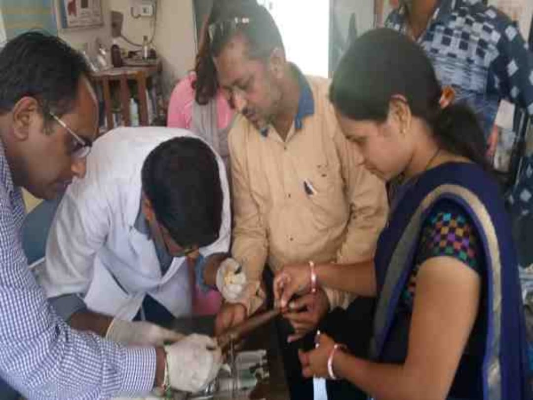 poisonous cobra was operated for one hour,doctors of ujjain gave new life to it