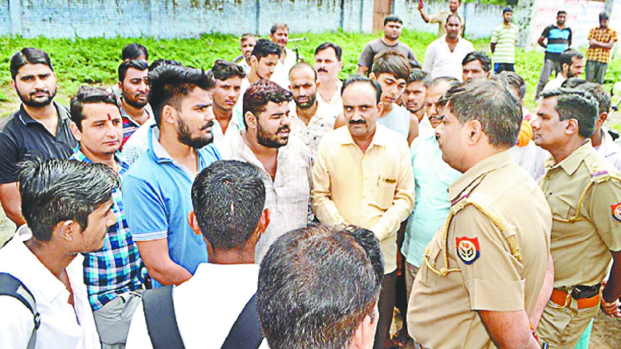 Commotion in the city after the breeding of cattle