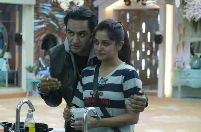 vikas gupta came in big boss 12 house