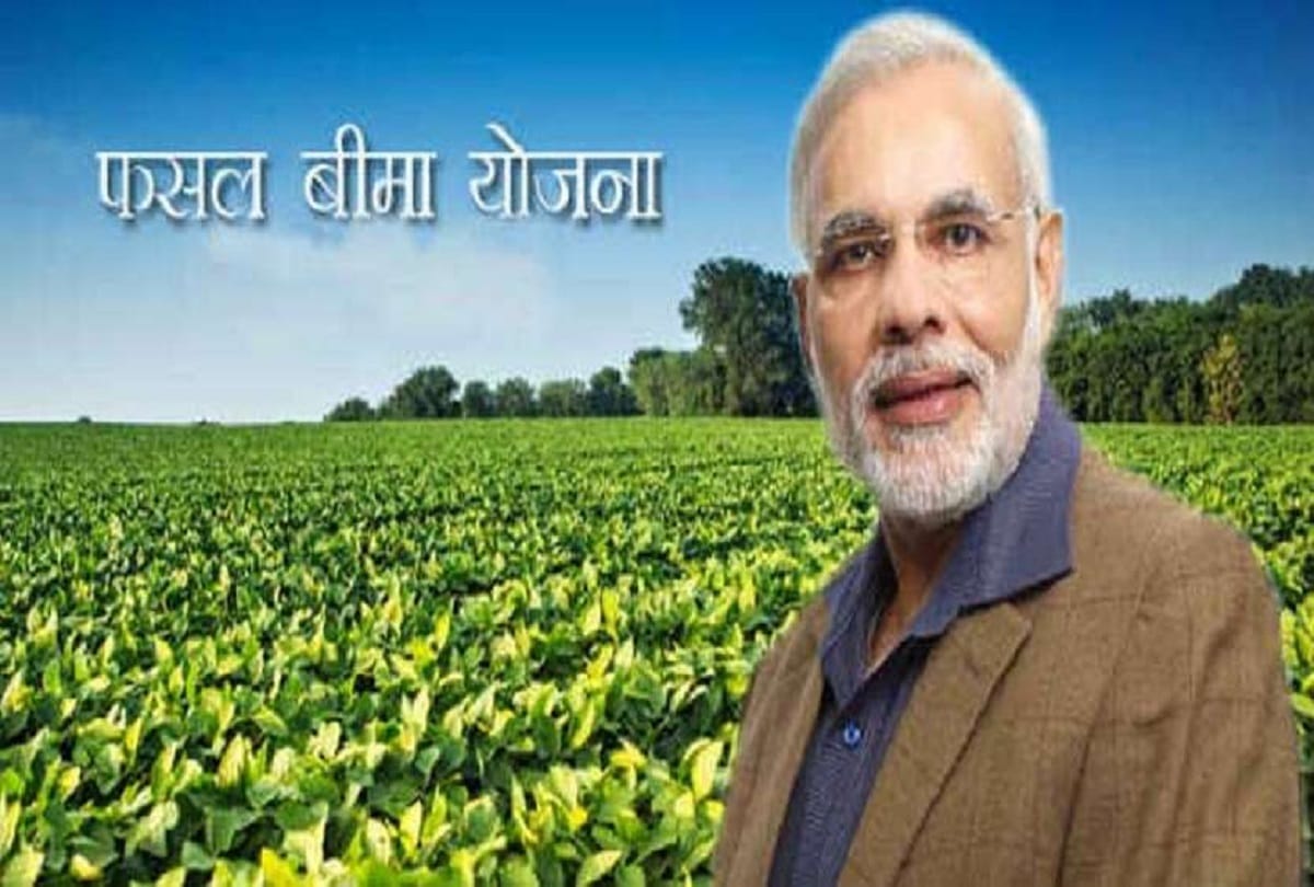 Number of farmers will be doubled from the start of crop insurance in the post office