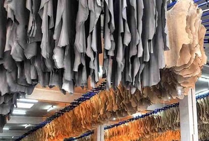 Kanpur industry will be behind in establishment