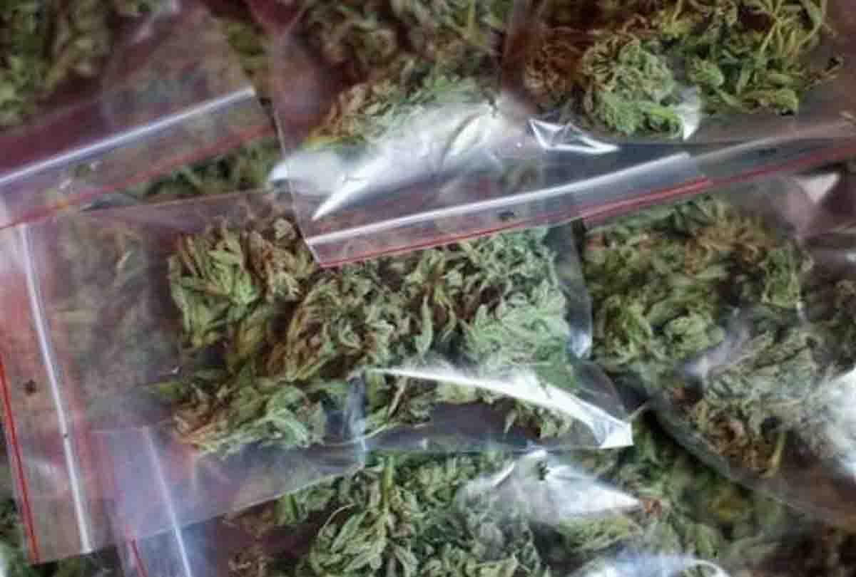 three smuggler arrested with 25 kg ganja