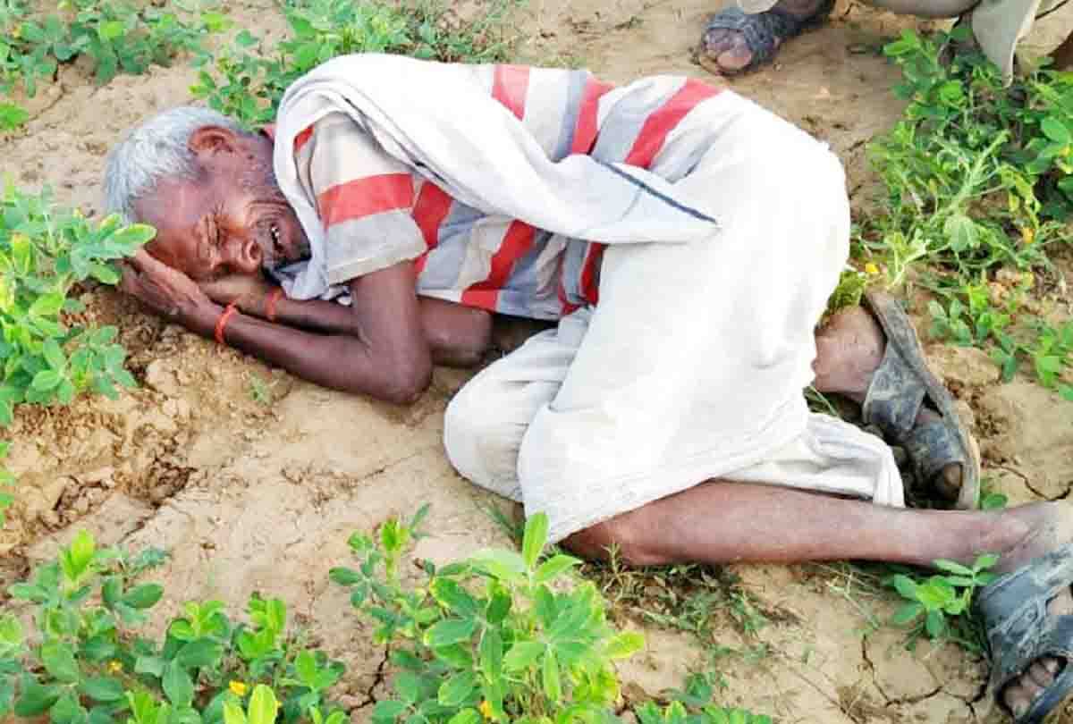 farmers' death in farm in hamirpur