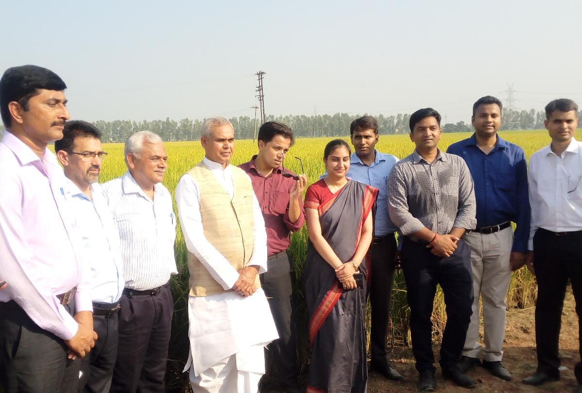 governor acharya dev vrat natural farming and 9 deputy commissioners visit gurukul farm