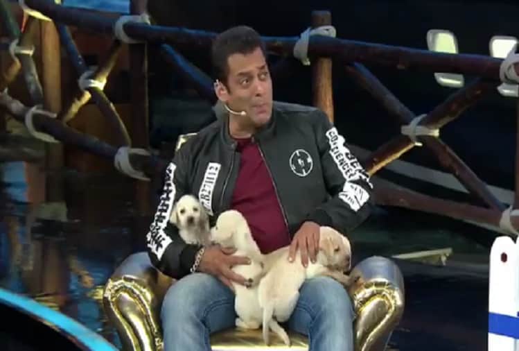 Bigg Boss 12 Dipika Kakar and Deepak Thakur throw cupcakes on Anup jalota and Saba Khan