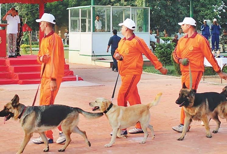 खोजी प्रतियोगिता में पटना के श्वान अव्वल