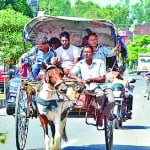 हड़ताल के चलते लोगों ने लिया घोड़ा गाड़ी का सहारा