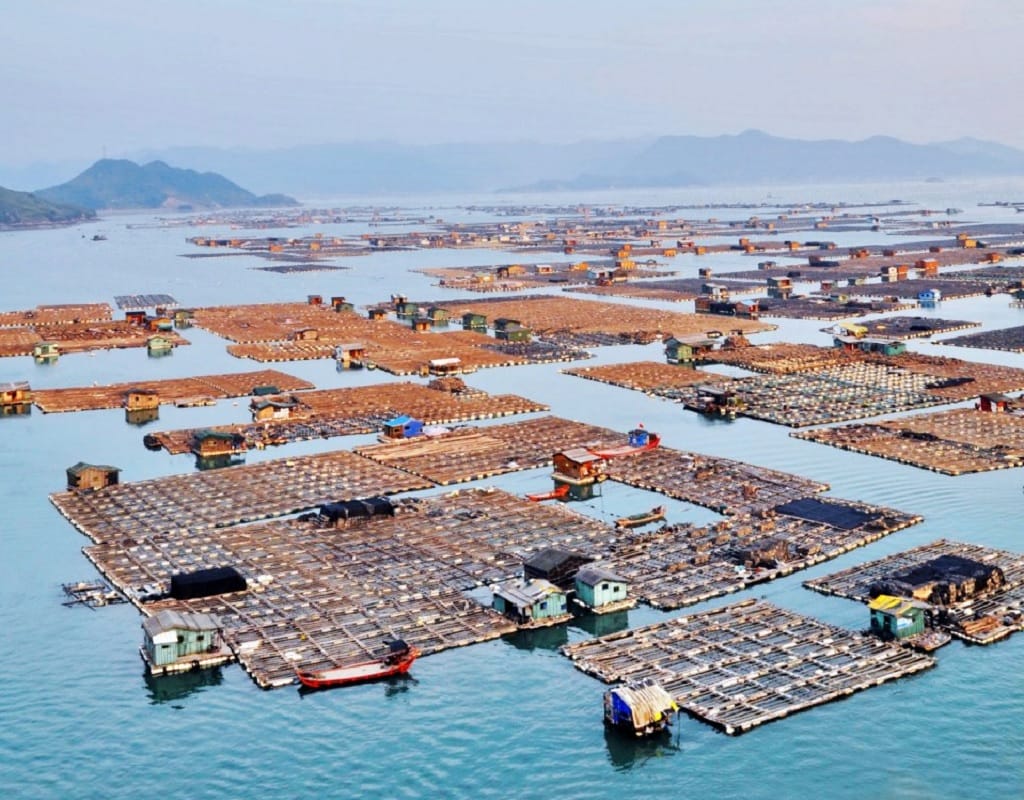 Gypsies of the sea: Tanka people traditional floating homes on the sea in Ningde City in China