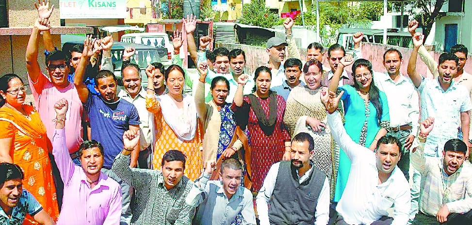 Employees celebrate black day