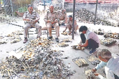 UP: more than 20 thousand mongoose killed in bijnor to polishing brush industry in foreign trade