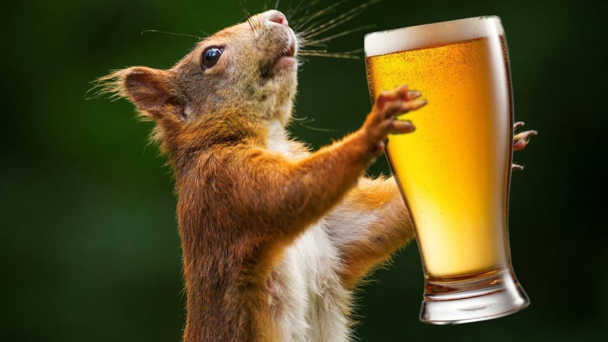 rats empty 12 bottles of wine in Tamil Nadu liquor store here you know how