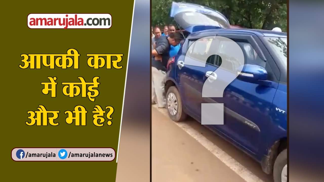 कार में सांप