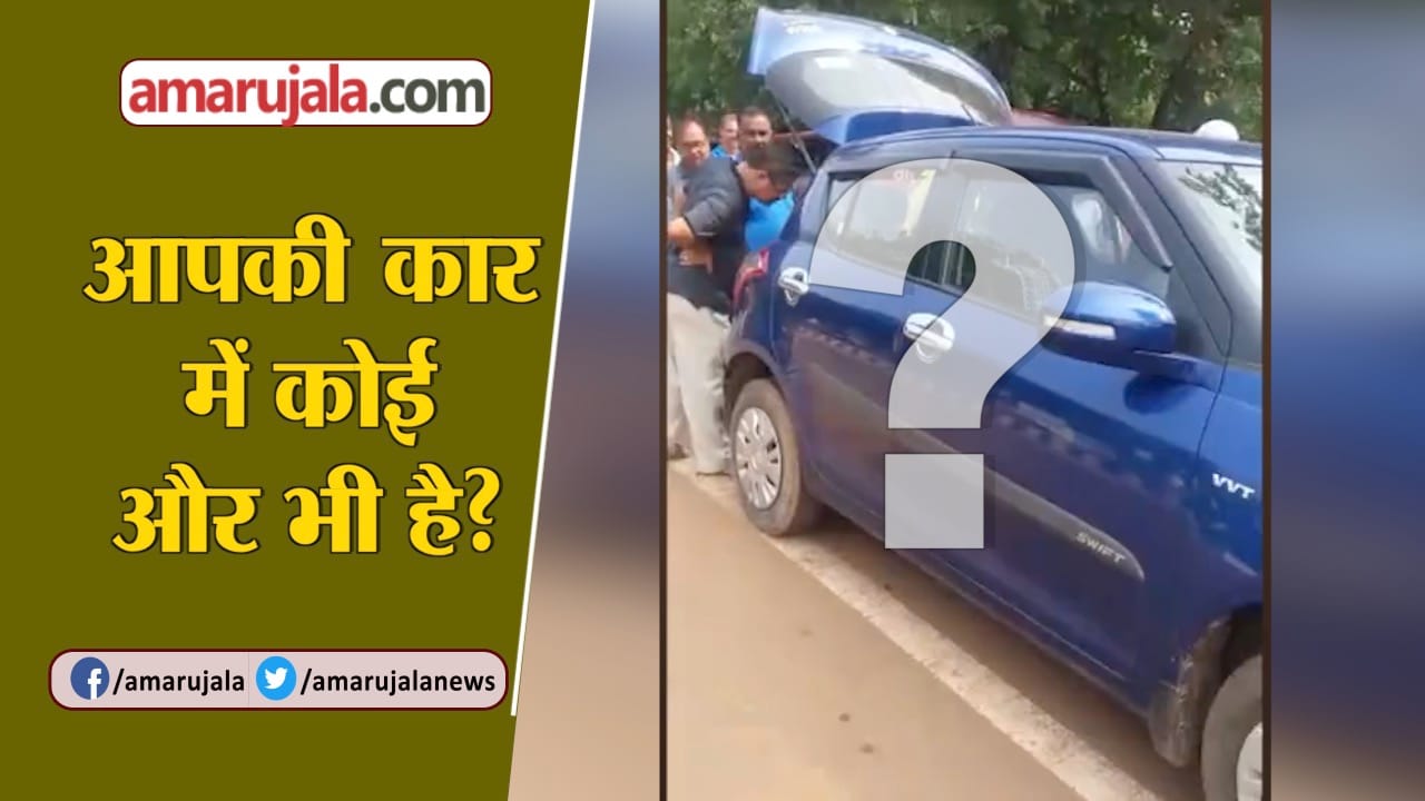 कार में सांप