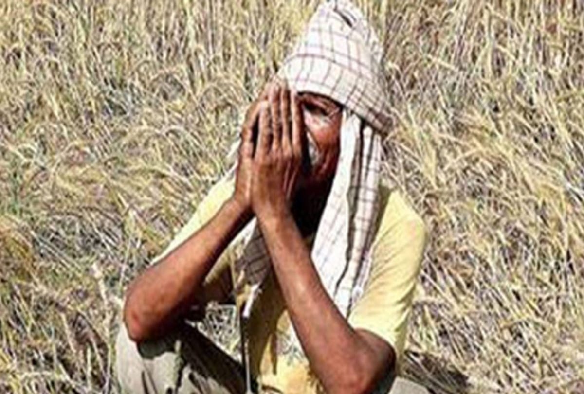 Kamalnath excludes these farmers from farm loan waiver sceme