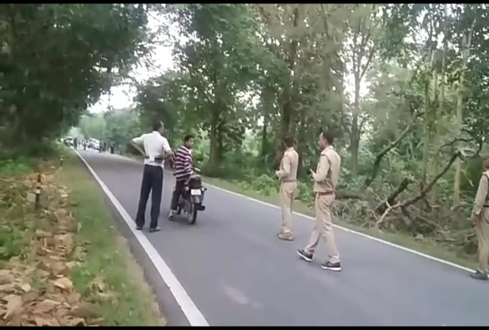 Wild Elephant Crowd on ramnagar national highway 