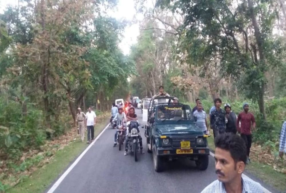 Wild Elephant Crowd on ramnagar national highway 