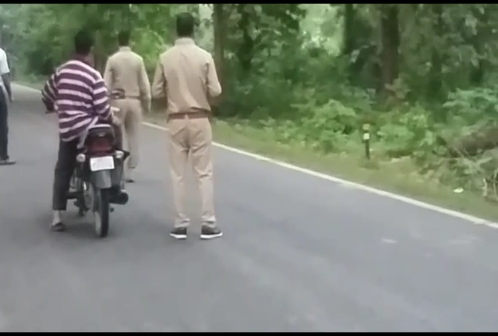 elephants kills husband wife son in ambikapur chhattisgarh forest dept repulse