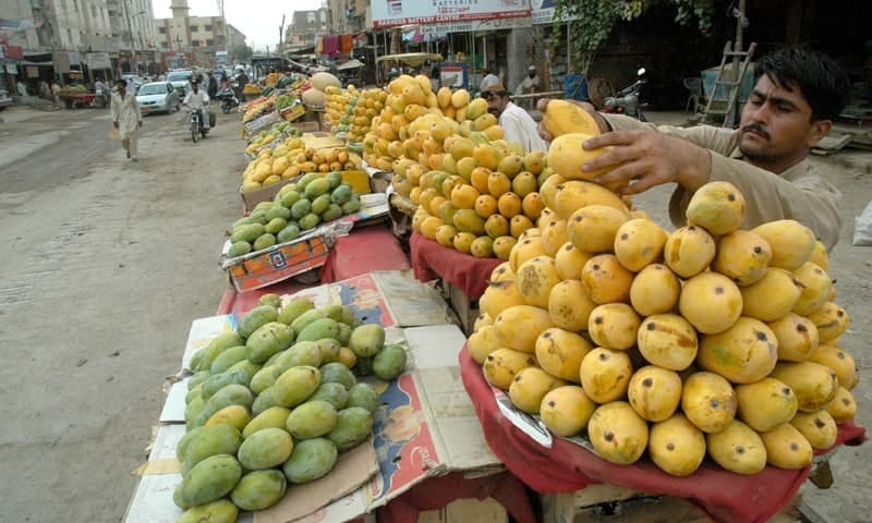 Indian People Liking Pakistani Mangoes