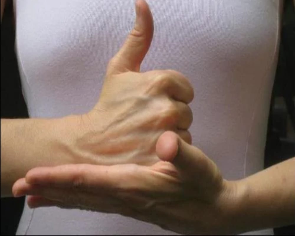Know the benefits of doing Shiva Linga Mudra