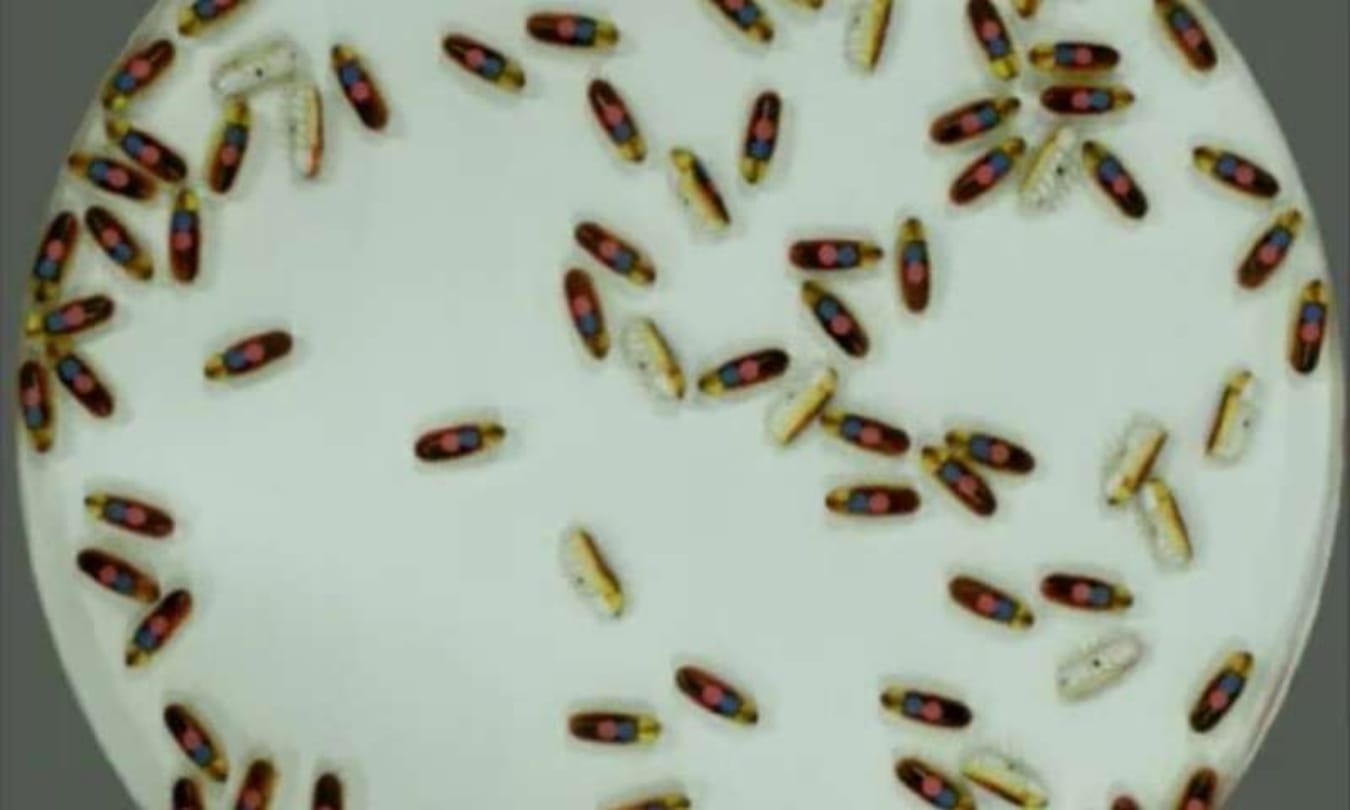 Scientists discover new gene for male infertility