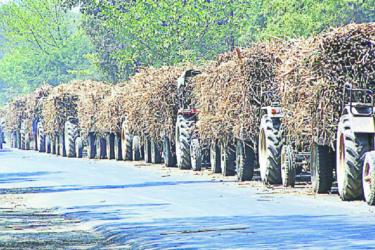 yogi aditynath givs outstanding payment to 31 thousand farmer gets 101 crore