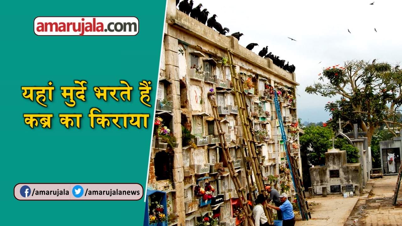 प्रतीकात्मक तस्वीर