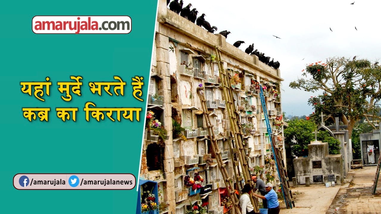 प्रतीकात्मक तस्वीर