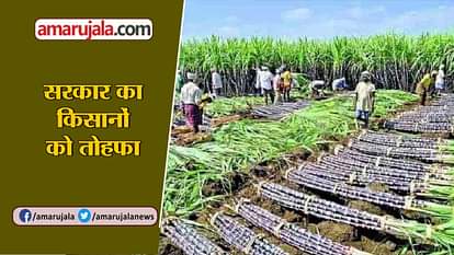 good news about WOMEN SECURITY AND GOVT. ANNOUNCED MSP HIKE FOR RABI CROP in khushkhabar